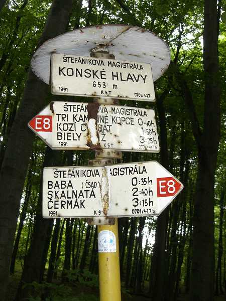 Ryb�rsky de� vo Vini�nom