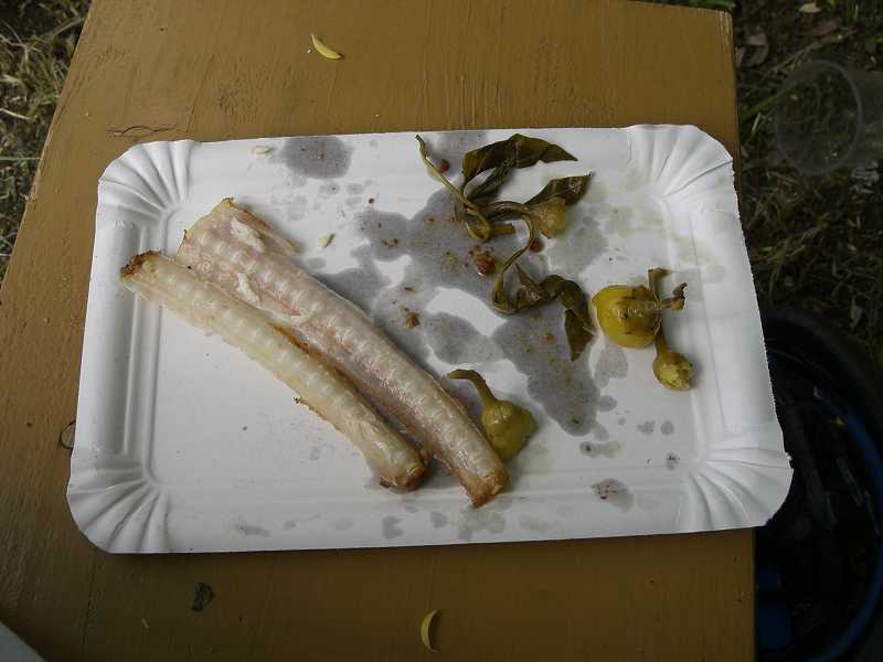 Ryb�rsky de� vo Vini�nom